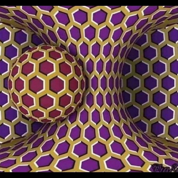 Meet your Posher, Josh - Picture 1 of 1